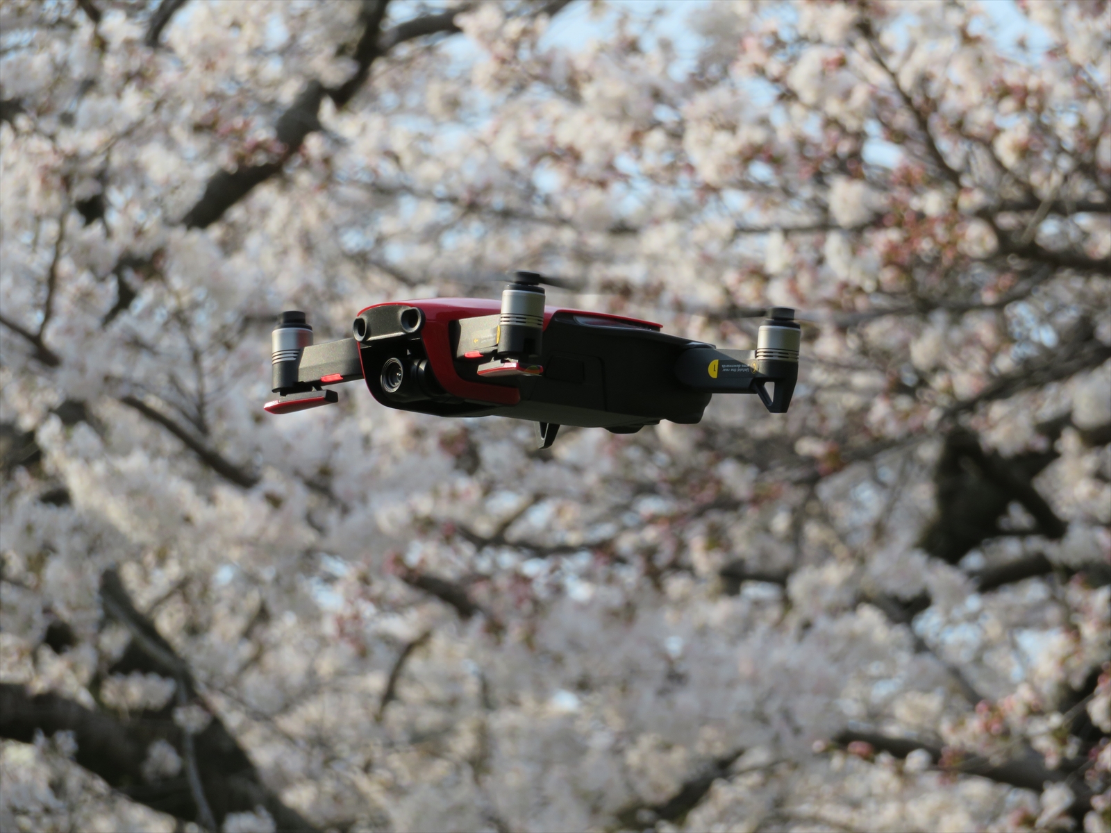 MavicAir-sakura